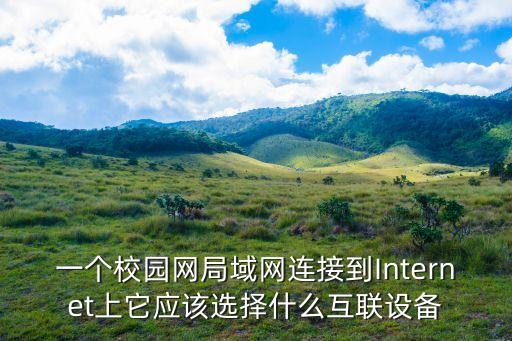 一個(gè)校園網(wǎng)局域網(wǎng)連接到Internet上它應(yīng)該選擇什么互聯(lián)設(shè)備
