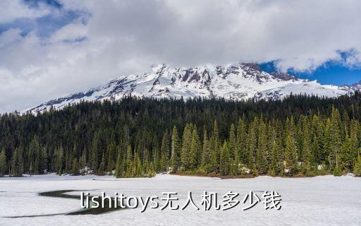 lishitoys無人機(jī)多少錢