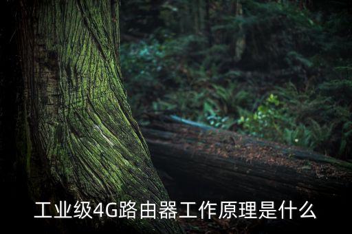 4g工業(yè)路由器，4G工業(yè)路由器有什么用途