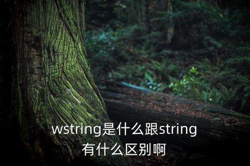 wstring是什么跟string有什么區(qū)別啊