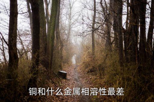 yec，打針的PV是什么