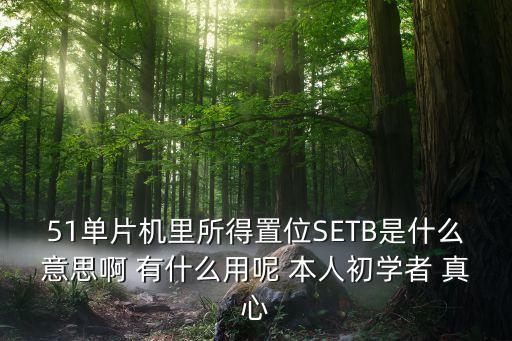51單片機里所得置位SETB是什么意思啊 有什么用呢 本人初學者 真心