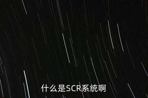 什么是SCR系統(tǒng)啊