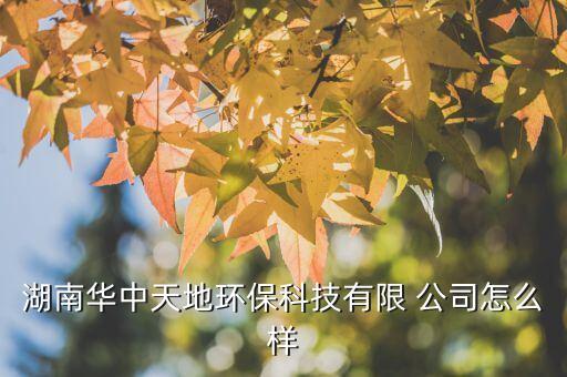 湖南華中天地環(huán)?？萍加邢?公司怎么樣