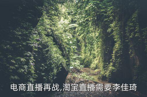 電商直播再戰(zhàn),淘寶直播需要李佳琦