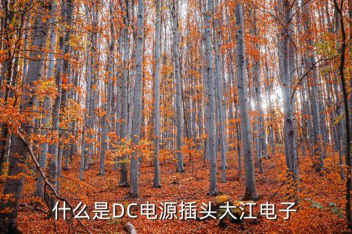 dc電源接口，什么是DC電源插頭大江電子