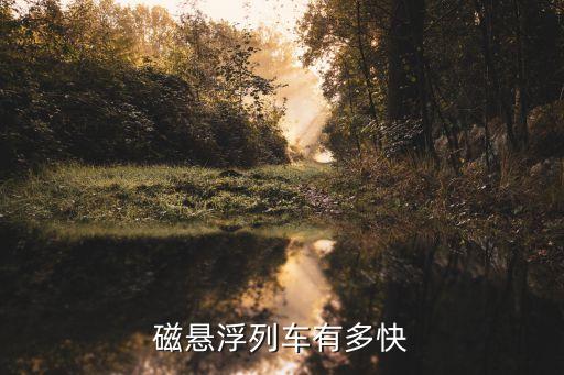 磁懸浮列車速度，磁懸浮列車的時(shí)速是多少公里