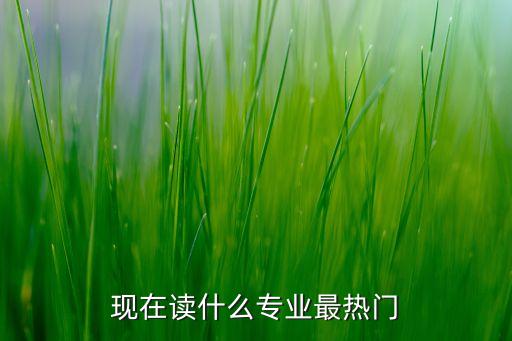 現(xiàn)在讀什么專業(yè)最熱門