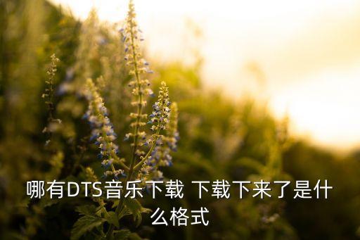 哪有DTS音樂下載 下載下來了是什么格式