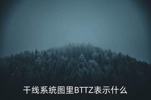 干線系統(tǒng)圖里BTTZ表示什么