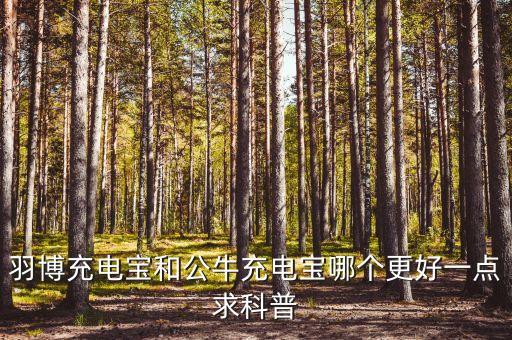 羽博充電寶和公牛充電寶哪個(gè)更好一點(diǎn)求科普