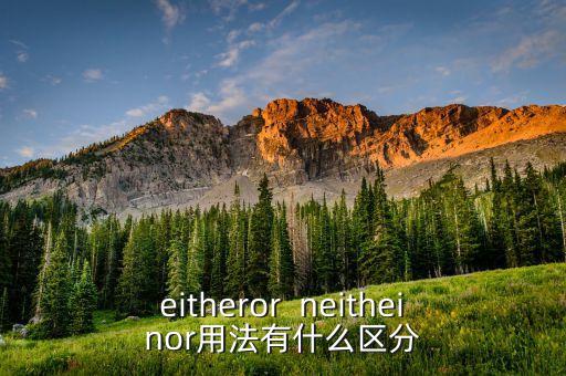 eitheror  neitheinor用法有什么區(qū)分