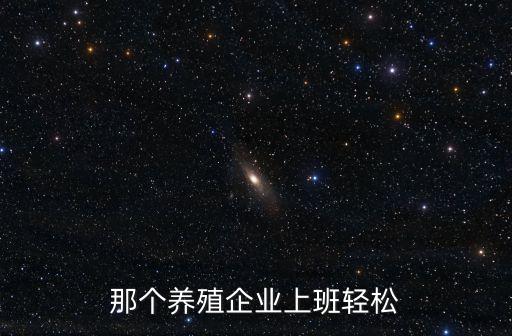 那個(gè)養(yǎng)殖企業(yè)上班輕松