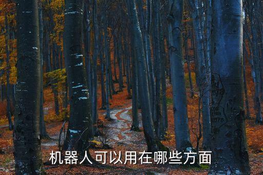 機(jī)器人可以用在哪些方面