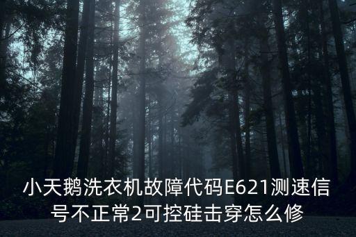 小天鵝洗衣機故障代碼E621測速信號不正常2可控硅擊穿怎么修