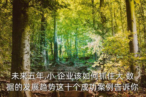 未來五年,小 企業(yè)該如何抓住大 數(shù)據(jù)的發(fā)展趨勢這十個成功案例告訴你