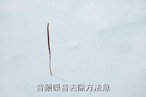 音頻噪音去除方法急