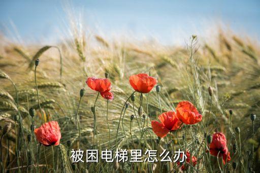 被困電梯，被困電梯里怎么辦