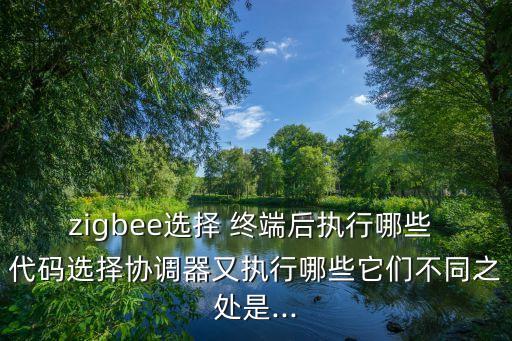 zigbee選擇 終端后執(zhí)行哪些 代碼選擇協(xié)調(diào)器又執(zhí)行哪些它們不同之處是...