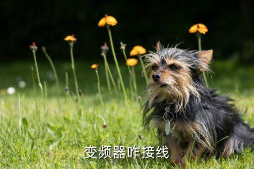 變頻器接線，變頻器咋接線