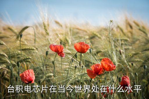 臺積電芯片在當(dāng)今世界處在什么水平