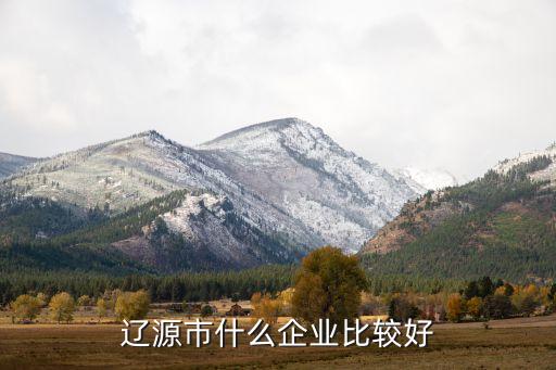 遼源市什么企業(yè)比較好