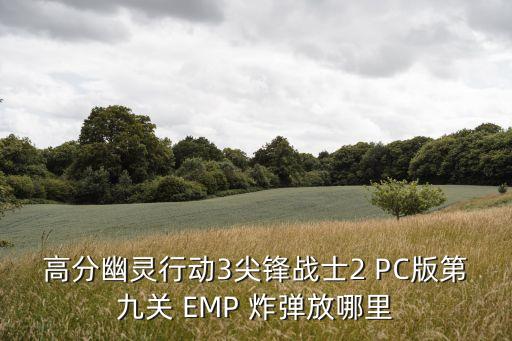 高分幽靈行動3尖鋒戰(zhàn)士2 PC版第九關(guān) EMP 炸彈放哪里