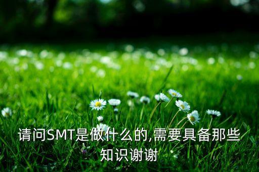請問SMT是做什么的,需要具備那些知識謝謝