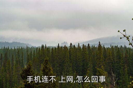 手機(jī)連不 上網(wǎng),怎么回事