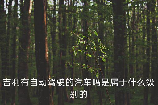 吉利有自動駕駛的汽車嗎是屬于什么級別的