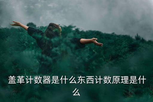 蓋革計(jì)數(shù)器,國內(nèi)蓋革計(jì)數(shù)器數(shù)值偏低有什么用?