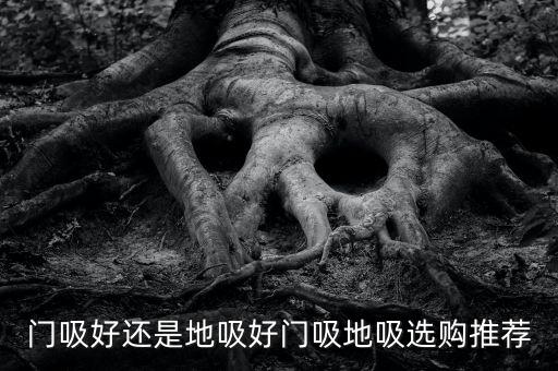 門吸好還是地吸好門吸地吸選購?fù)扑]