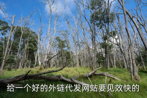 鏈網(wǎng)，779交換鏈網(wǎng)站的真假