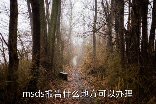 msds報告什么地方可以辦理