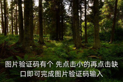圖片驗證碼，輸入圖形驗證碼是什么意思