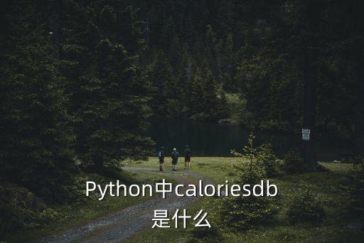 Python中caloriesdb是什么