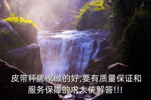  皮帶秤哪家做的好,要有質(zhì)量保證和服務(wù)保障的求大俠解答!!!