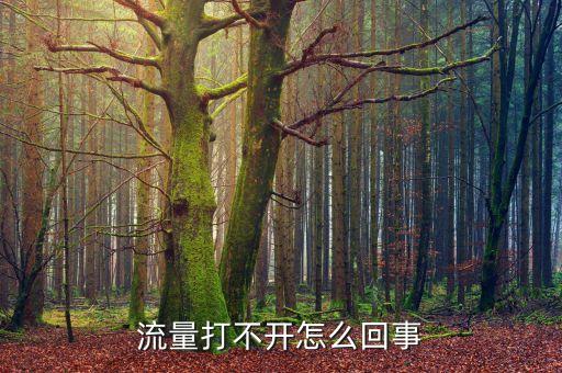 流量打不開怎么回事