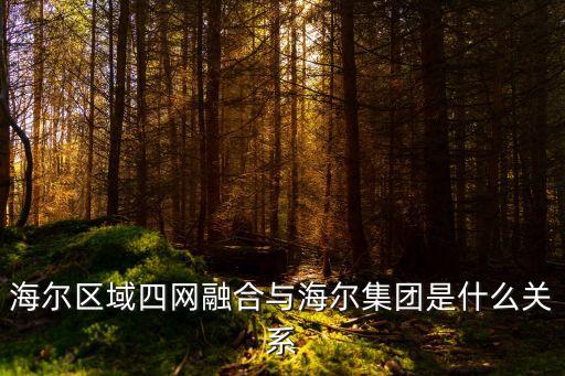 海爾區(qū)域四網(wǎng)融合與海爾集團(tuán)是什么關(guān)系