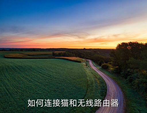 如何連接貓和無線路由器