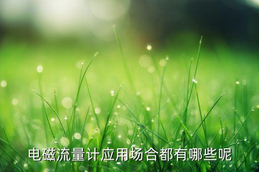 云南自動化電磁流量計設(shè)備,電磁流量計什么是導(dǎo)電流體?