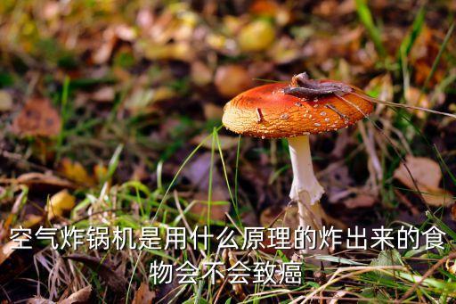 空氣炸鍋機(jī)是用什么原理的炸出來(lái)的食物會(huì)不會(huì)致癌