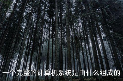 一個完整的計算機(jī)系統(tǒng)是由什么組成的