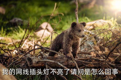 我的網(wǎng)線插頭燈不亮了請問是怎么回事