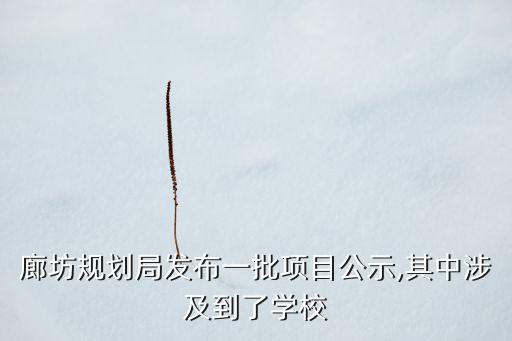 廊坊 數(shù)據(jù)中心 電量,限電對行業(yè)影響挺大數(shù)據(jù)中心綠化之道