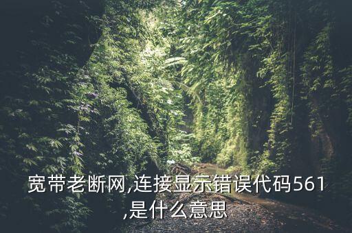 寬帶老斷網(wǎng),連接顯示錯(cuò)誤代碼561,是什么意思