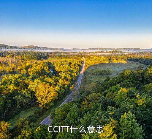 CCITT什么意思