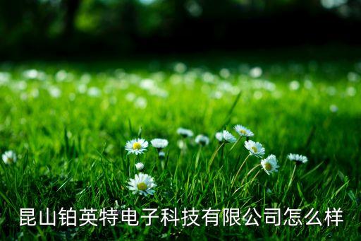 昆山鉑英特電子科技有限公司怎么樣