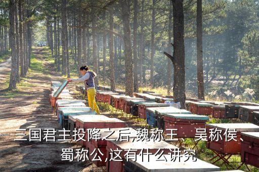 三國君主投降之后,魏稱王、吳稱侯、蜀稱公,這有什么講究