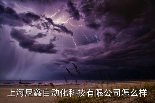 上海尼鑫自動化科技有限公司怎么樣